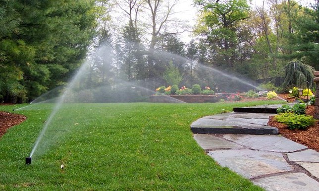 Best time to water your lawn