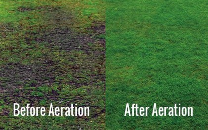 lawn aeration service